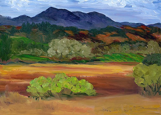 Mt Saint Helena Valley